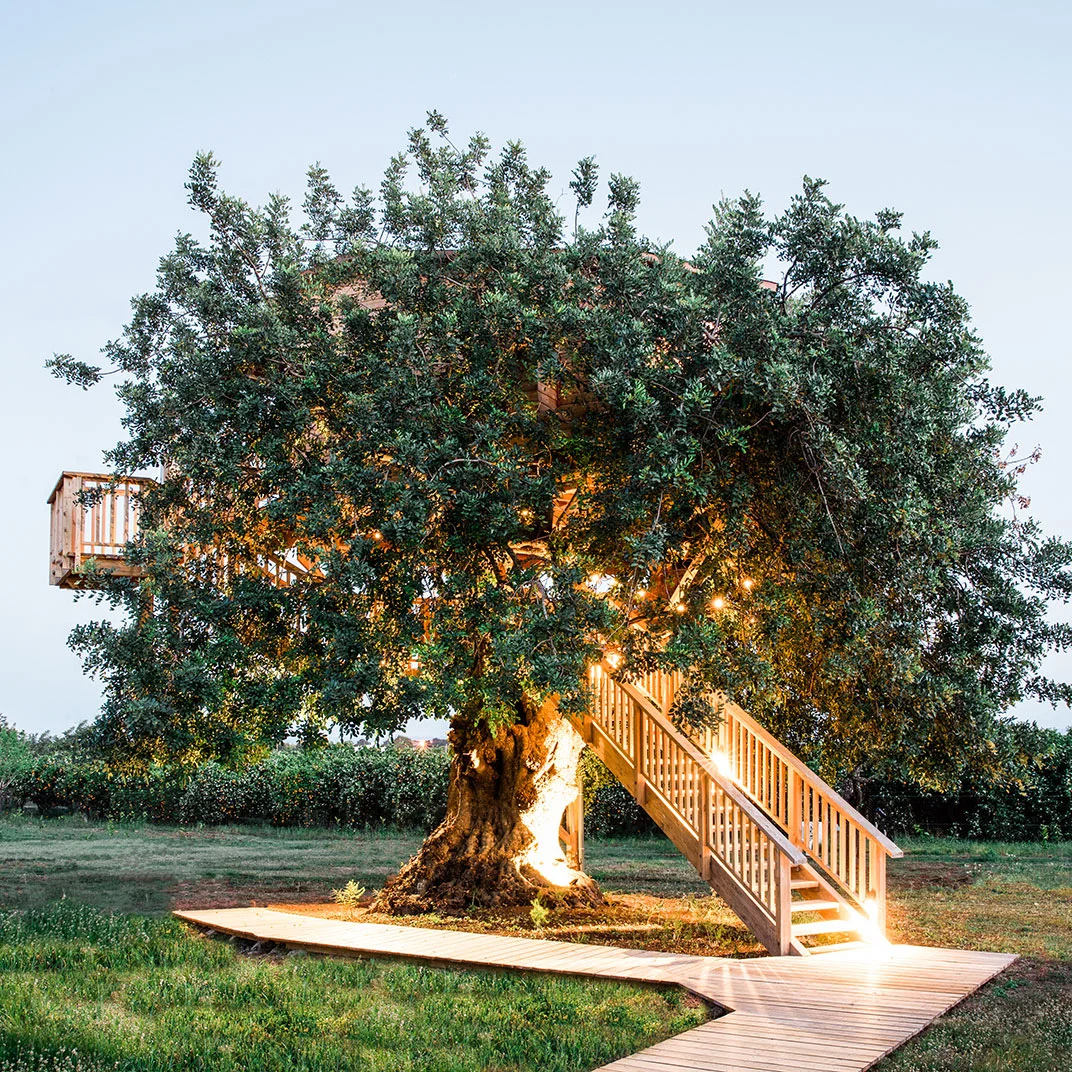 boutique hotel treehouse